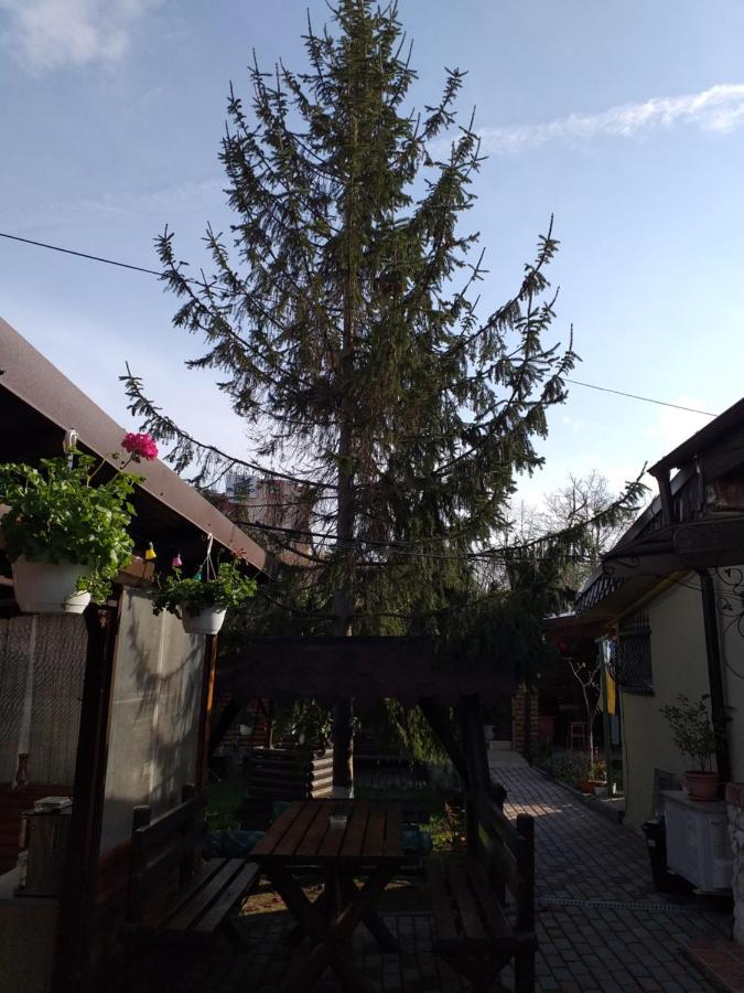 Casa Mola Apartment Mangalia Luaran gambar