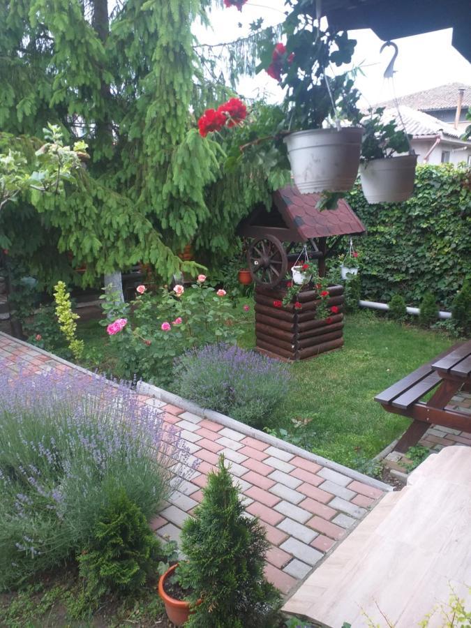 Casa Mola Apartment Mangalia Luaran gambar