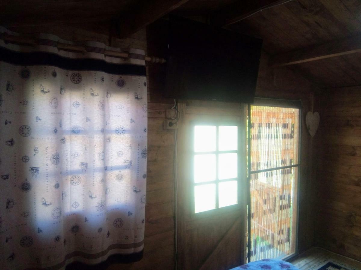 Casa Mola Apartment Mangalia Luaran gambar