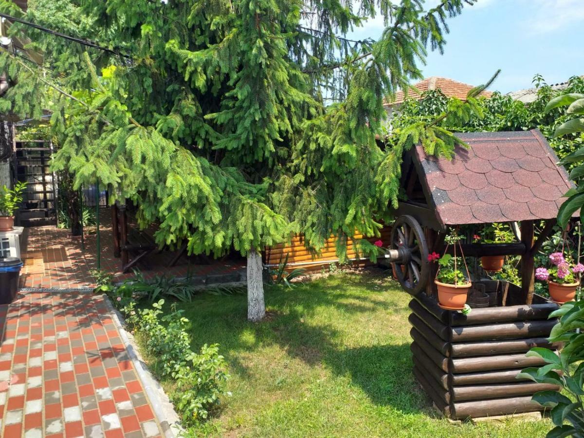 Casa Mola Apartment Mangalia Luaran gambar